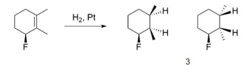 <p>diastereomer products</p>