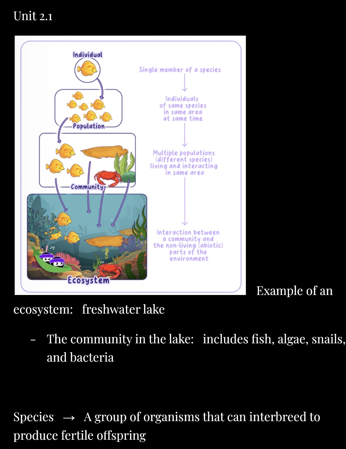 knowt flashcard image