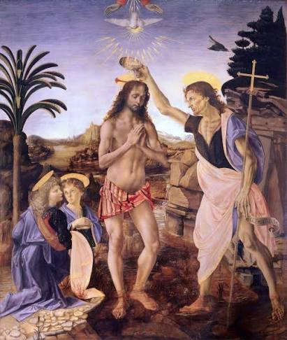 <p>Special Traits </p>