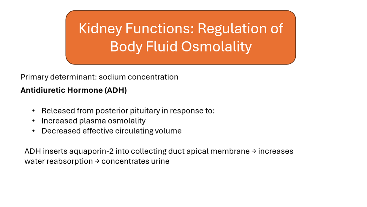 <p>Increased plasma osmolality </p>