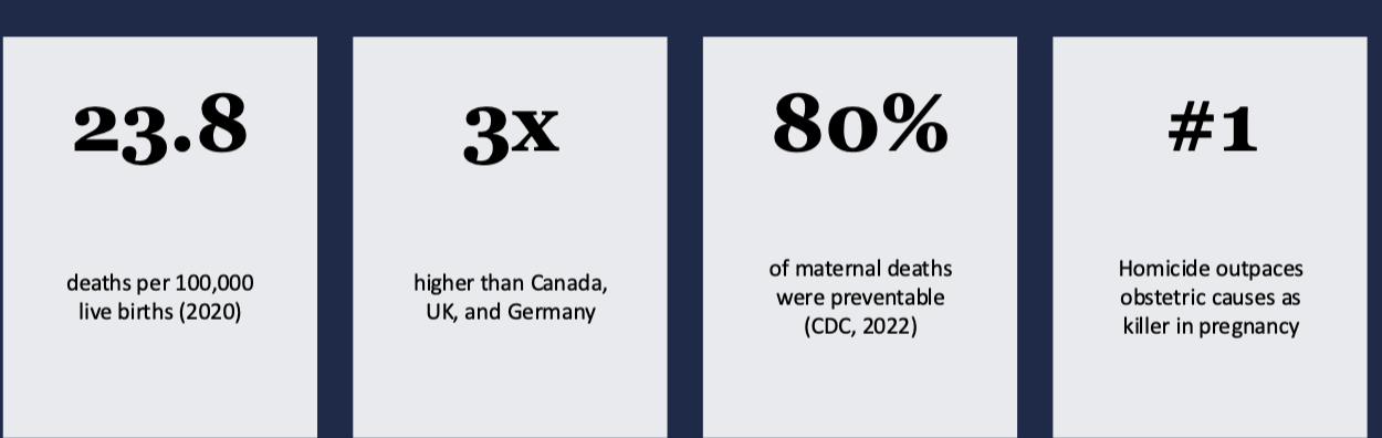 <p>Black women are 2-3x more likely to die from pregnancy-related causes than white women</p><ul><li><p>Higher education and income do not mitigate this risk</p></li></ul><p></p>