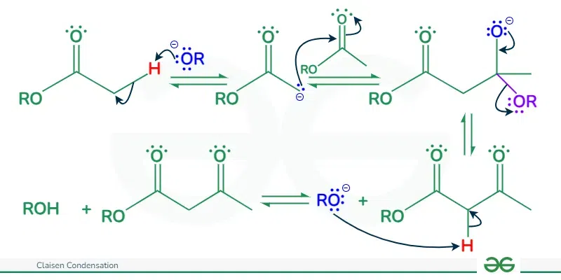 <p>identify the mechanism</p>