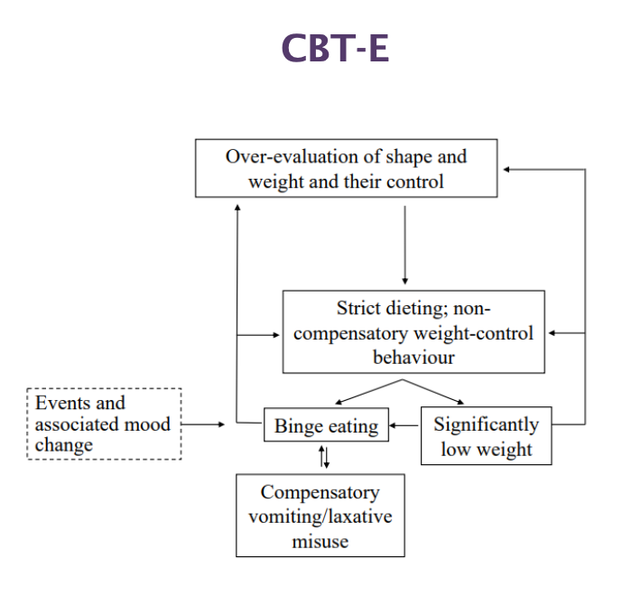 <ul><li><p>Problem-focused on behaviour and psychopathology </p></li><li><p>Highly structured protocol with stages </p></li><li><p>Core idea: The main problem is: <strong>Overvaluing weight and shape</strong></p></li><li><p>Goal: Break the cycle of eating disorder </p></li></ul><p></p>