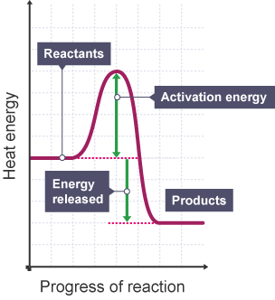 <p>→ Energy of reactants > energy of products</p><p>→ Arrow touching lines</p><p>→ Arrow of enthalpy change pointing downwards</p><p>→ activation energy arrow pointing up</p>