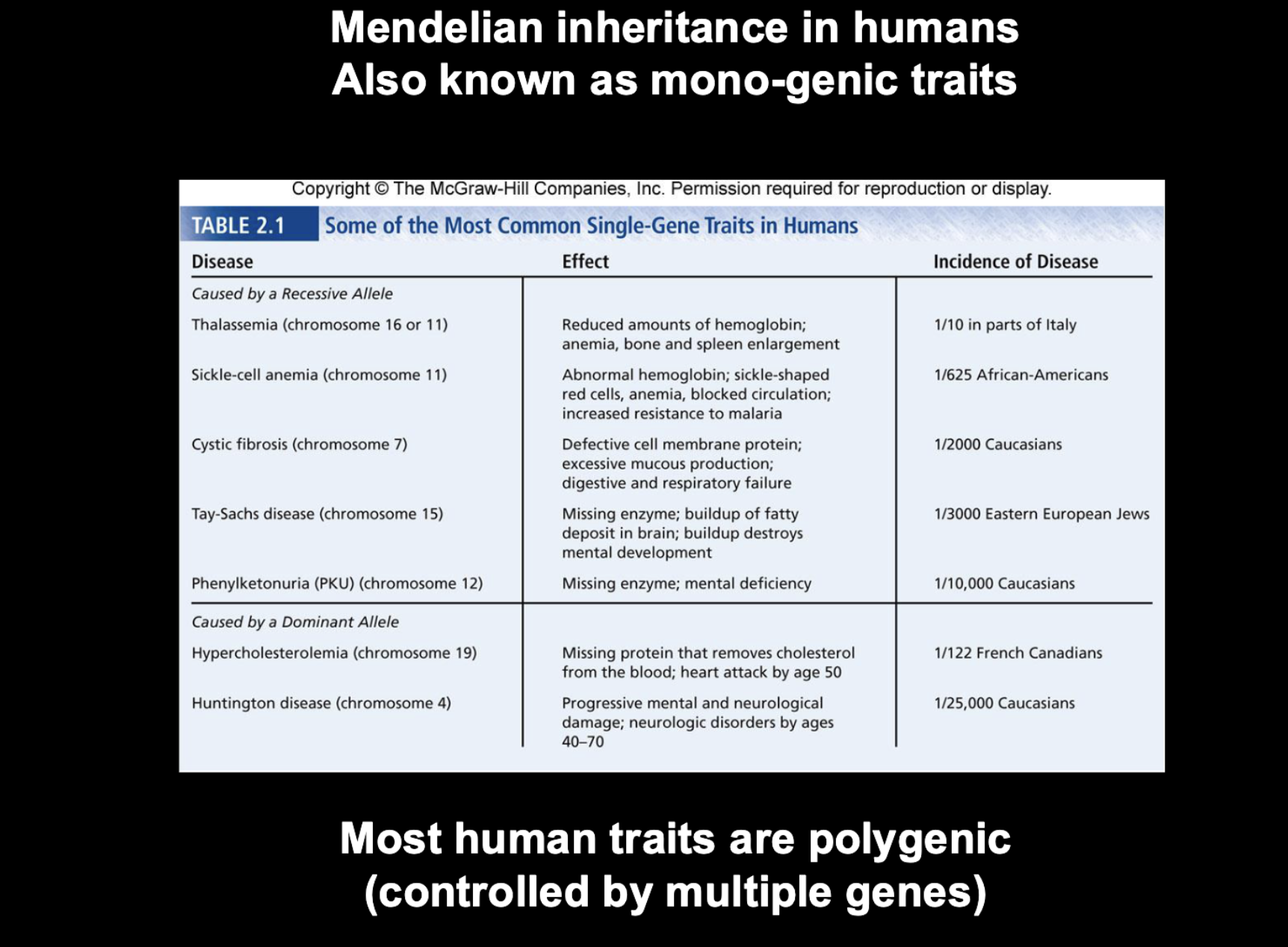 <p>Mendelian Inheritance in Humans</p><ul><li><p><strong>Mendelian (monogenic) traits</strong> = traits/diseases mainly controlled by <strong>one gene (example Aa AA or aa are different versions of one gene)</strong>.</p></li><li><p>They can be caused by either:</p><ul><li><p><strong>Recessive alleles</strong> → usually requires <strong>2 copies</strong> of the recessive allele to show the disease.</p><ul><li><p>Examples: cystic fibrosis, sickle-cell anemia, Tay-Sachs.</p></li></ul></li><li><p><strong>Dominant alleles</strong> → <strong>1 copy</strong> of the dominant allele can cause the disease.</p><ul><li><p>Examples: Huntington disease, hypercholesterolemia.</p></li></ul></li></ul></li><li><p><strong>Polygenic traits</strong> = traits controlled by <strong>multiple genes</strong>.</p><ul><li><p>Most human traits are <strong>polygenic</strong> rather than controlled by one gene.</p></li></ul></li></ul><p><strong>Easy way to remember:</strong><br><strong>Mono = one gene</strong> → Mendelian<br><strong>Poly = many genes</strong> → Polygenic</p>
