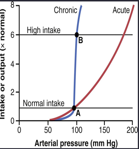 <p>Answer: A very large rise in pressure would initially be required.</p><p>Extra Information:</p><ul><li><p>The slide estimates approximately 180–190 mm Hg.</p></li></ul><p></p>