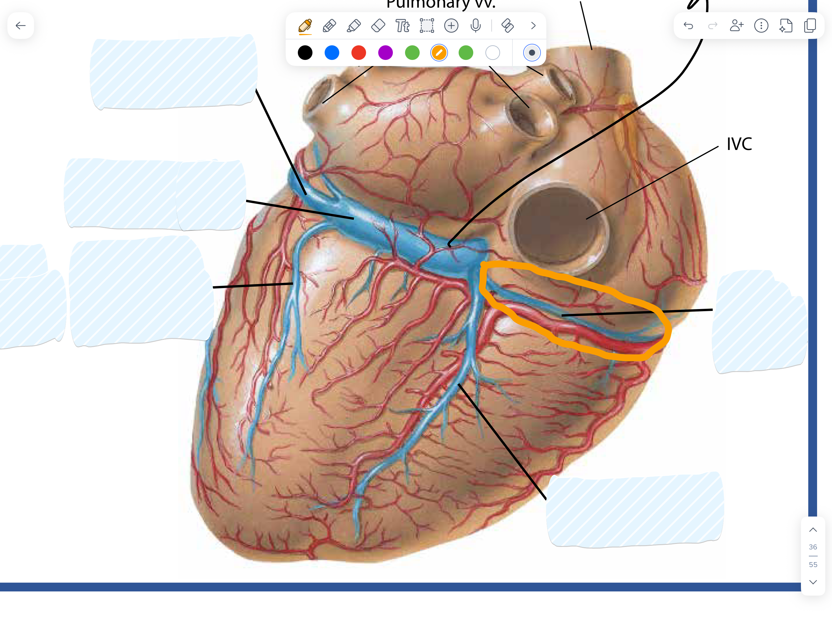 knowt flashcard image