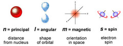 <p>the number assigned to each orbit</p>
