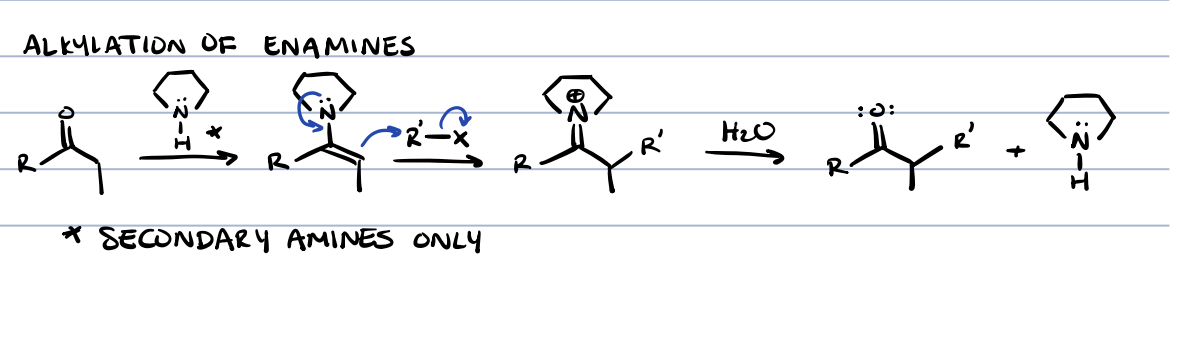 <p>secondary amines only</p>