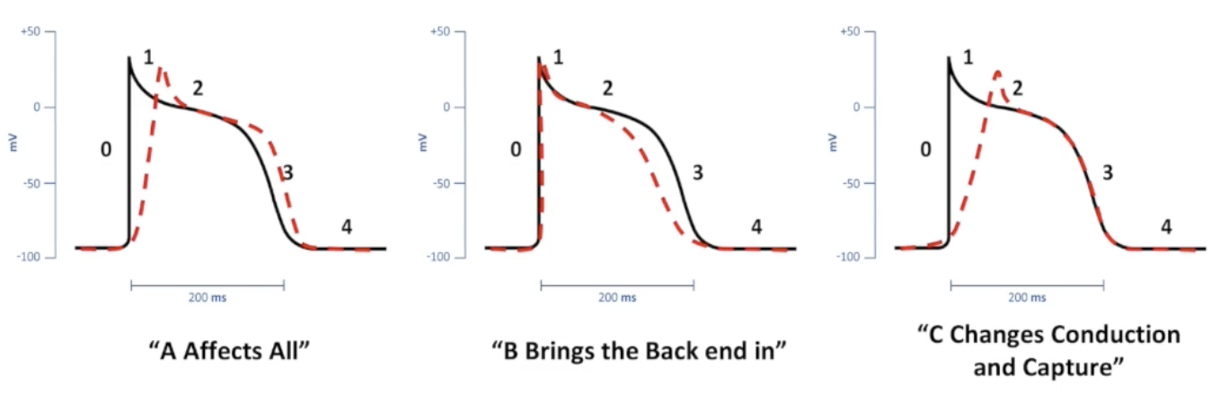 <p>Class 1a: A affects all</p><p>Class 1b: B brings the Back end in</p><p>Class 1c: C changes conduction and capture</p>