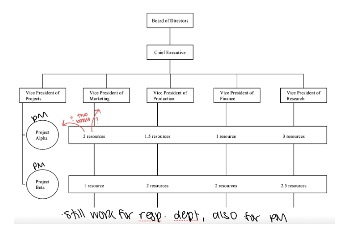 <p><span><strong>Matrix Organizations</strong></span></p>