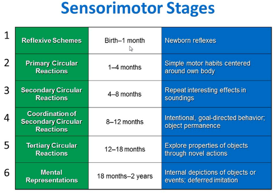 <p>Sensorimotor Period of Intelligence</p>