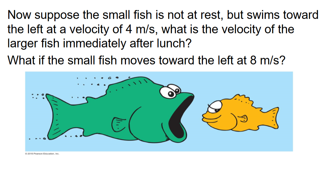 <p>So small fish velocity = -4 m/s</p>