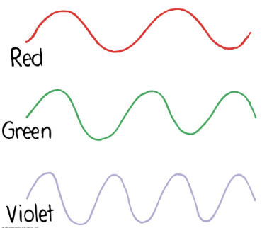 <ul><li><p>Red - lowest frequency and longest wavelength</p></li><li><p>Frequency increases as light goes through the colors: red, orange, yellow, green, blue, violet</p></li><li><p>Violet light has nearly 2x the frequency of red light, and half the wavelength</p></li></ul><p></p>