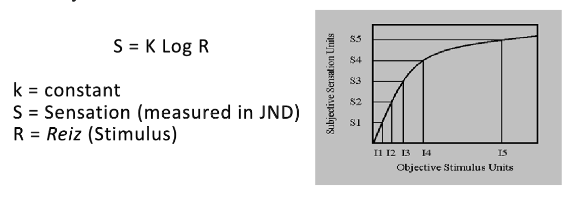 <p>S = K log R</p><p>K = constant </p><p>S = sensation (measured in JND</p><p>R = Reiz (stimulus) </p>