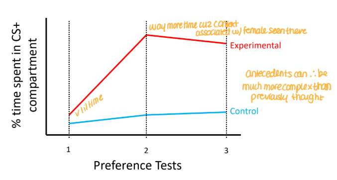 <p>came to prefer context that was associated with female!</p>