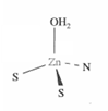 <p>What is the mechanism for liver alcohol dehydrogenase?</p>