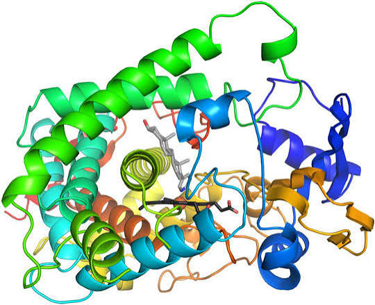 <p>chất xúc tác, nhân tố thúc đẩy </p>