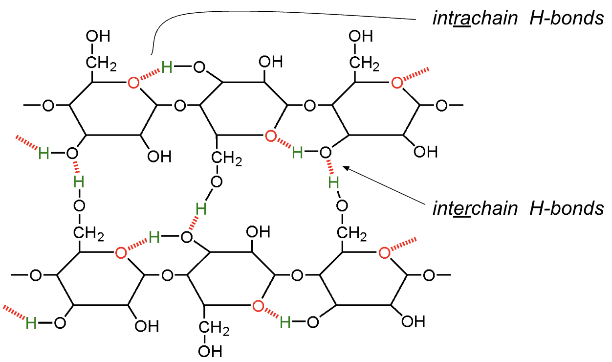 <p>Why can cellulose form strong sheets?</p>