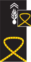 <p></p>