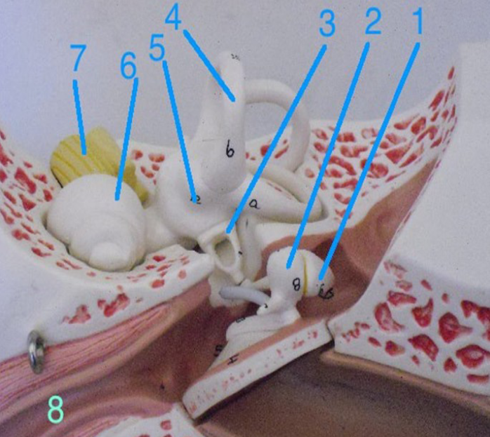 <p>3</p>