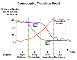 <p>What are the characteristics of Stage 3 in a Demographic Transition Model?</p>