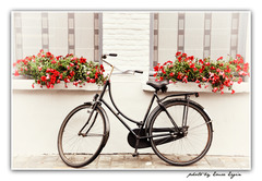 <p>Велосипед</p><p>저는 자전거를 타요. = I ride a bike.</p><p>자전거가 고장 났어요. = My bike broke down.</p>