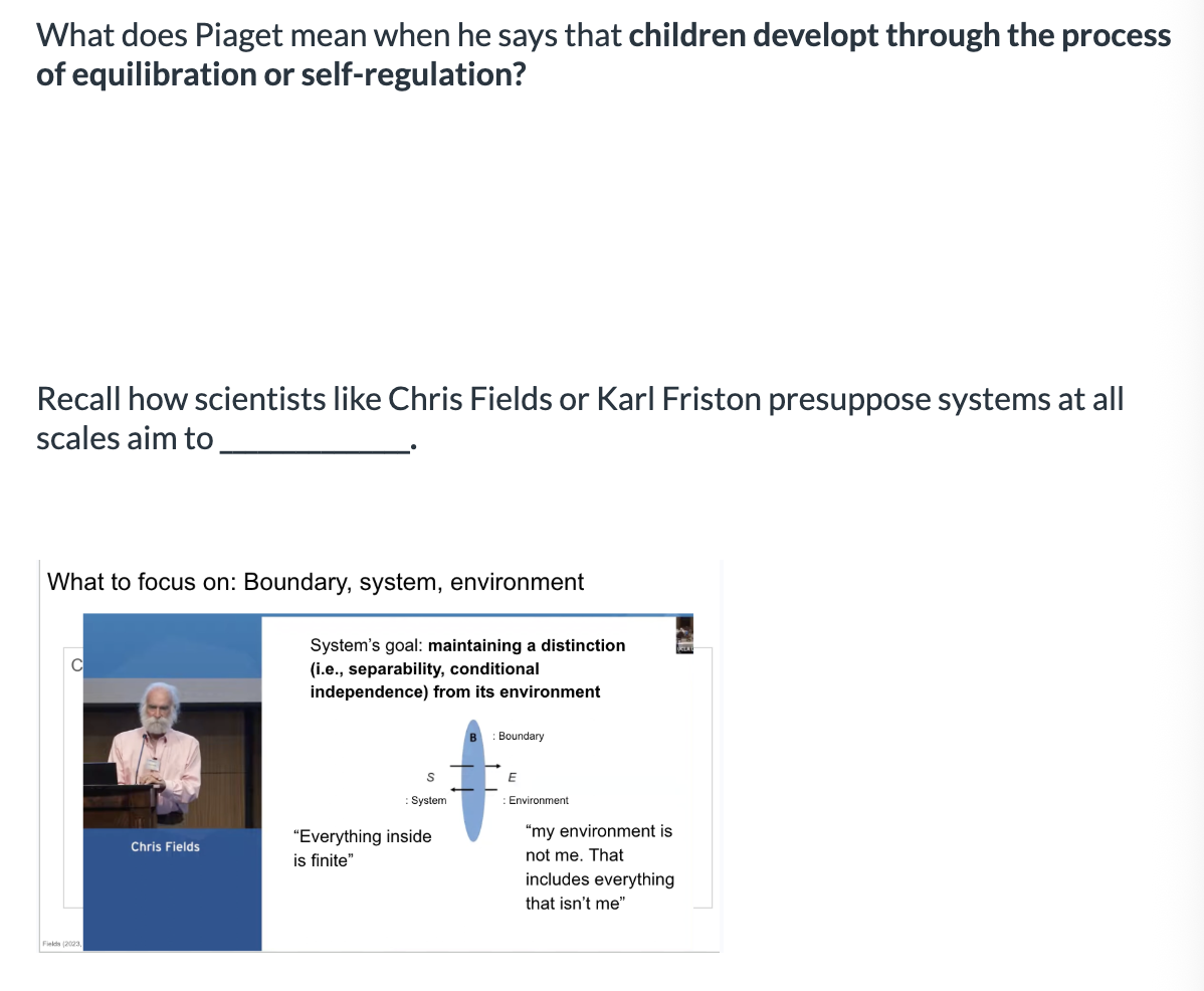 <ol><li><p><span>aim to dissolve boundaries between system and environment</span></p></li><li><p><span>maintain conditional independence from their environment.</span></p></li></ol><p></p>