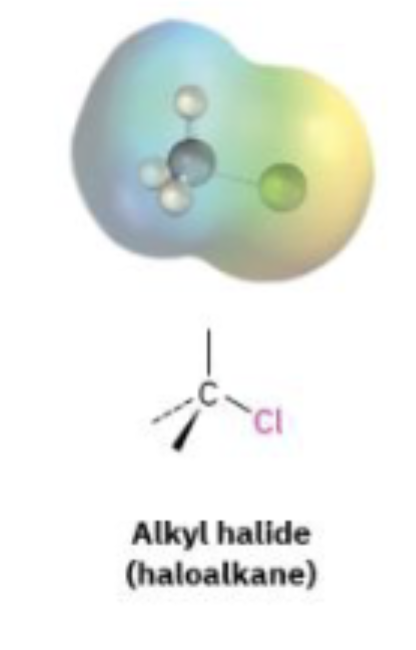 <p>Carbon bonded to Halogen (F, Cl, Br, Iodine)</p>