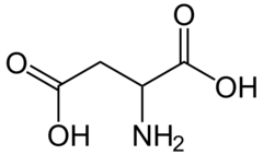 <p>Aspartic Acid</p><p>1 Letter: D </p><p>3 letters: Asp</p><p>Negatively Charged</p><p>Acidic Polar</p>