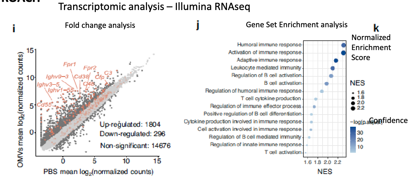 <ul><li><p>transcriptomic analysis: Illumina RNAseq</p></li><li><p>competing tech: nanopore sequencing → PORE_forming proteins from bacteria + tethering</p></li><li><p>found increased immune response genes</p></li></ul><p></p>