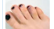 <p>un orteil, un doigt de pied</p>