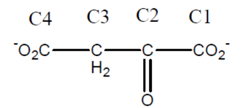 <p>Which carbons in the oxaloacetate formed by one turn of the cycle would contain the radiolabel?&nbsp;&nbsp;</p><p></p><p>a) C1</p><p>&nbsp;</p><p>b) C2 and C3</p><p>&nbsp;</p><p>c) C2</p><p>&nbsp;</p><p>d) No radiolabel present</p><p>&nbsp;</p><p>e) C1 and C4</p>