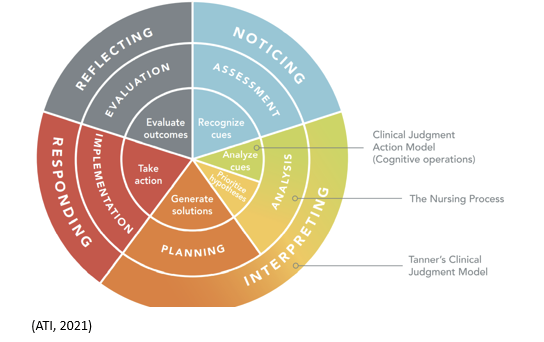<p>What are the four aspects of the Tanner Model of Clinical Judgement? Explain each.</p>