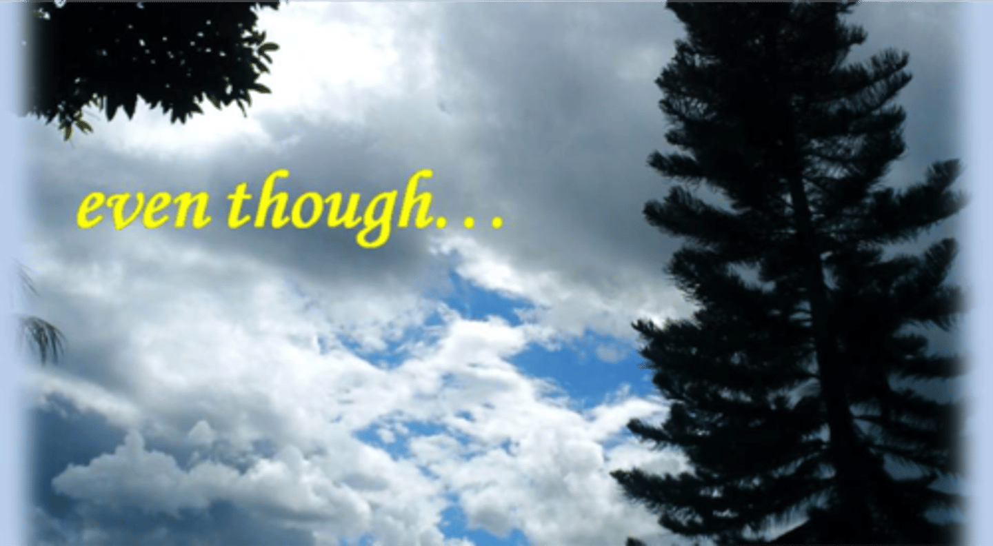 <p>although, even though, even if</p>