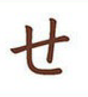 term image