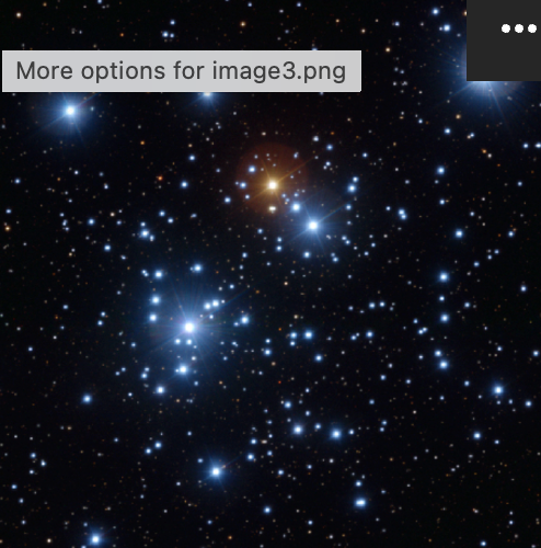 <p>What <strong><em>type of object</em></strong> is this image?</p>