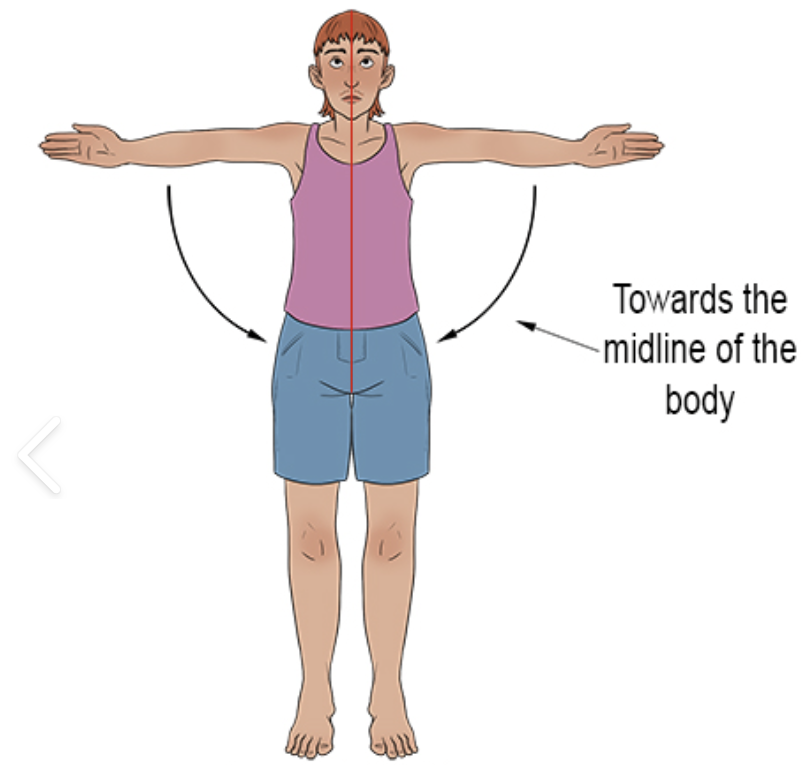 <p>muscles that draw a body part, such as finger, arm, or toe away from the midline of the body or of an extremity. Example: In the hand, _______ draws the fingers together </p>