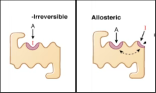 <ul><li><p>Binds either (i) irreversibly to receptor, or (ii) to allosteric site</p></li><li><p>Can therefore not be countered by adding more agonist</p></li><li><p>Curve flattens, reducing E<sub>max</sub></p></li></ul><p></p>
