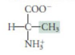 <p>hydrophobic</p>