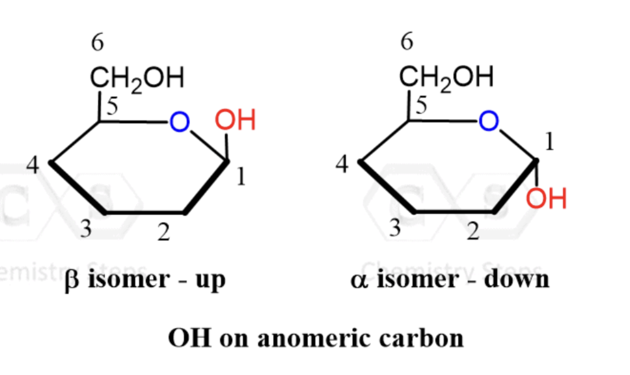 <p>beta - OH on anomeric carbon points up</p><p>alpha - OH on anomeric carbon points down</p>