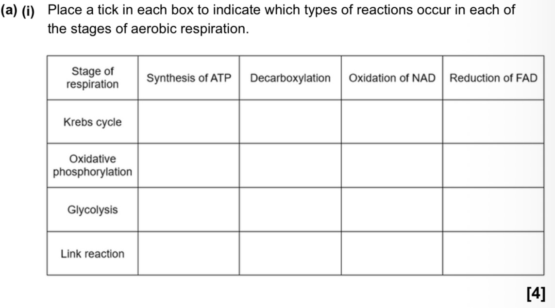 <p>(MissE 18ai,aii) <span data-name="exclamation" data-type="emoji">❗</span></p><p>18aii) explain the differences between substrate level phosphorylation and oxidative phosphorylation in aerobic respiration [3]</p>