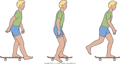 <p>Which overall motion type is created by combining lower limb angular movements on a skateboard?</p>