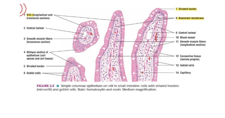 term image