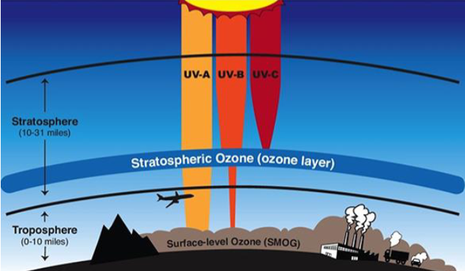 <p><strong>Stratospheric ozone</strong> → O3 = absorbs & protect planet from UV-B (sunburns + cancer) and UV-C (germicidal) light</p><p><strong>Tropospheric ozone</strong> = O3 = no purpose = potent respiratory irritant</p>
