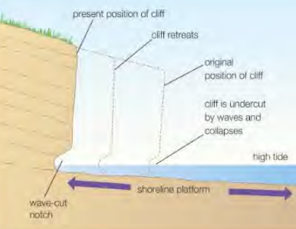 <ul><li><p>erosion attacks the base of the cliff, creating a notch of eroded material between high tide height and low tide height </p></li><li><p>as notch becomes deeper (and sub-ariel weathering weakens cliff from top) the cliff face becomes unstable and falls under its own weight through mass movement </p></li><li><p>this leaves behind a platform of the unaffected cliff base beneath the wave- cut notch </p></li></ul><p></p>