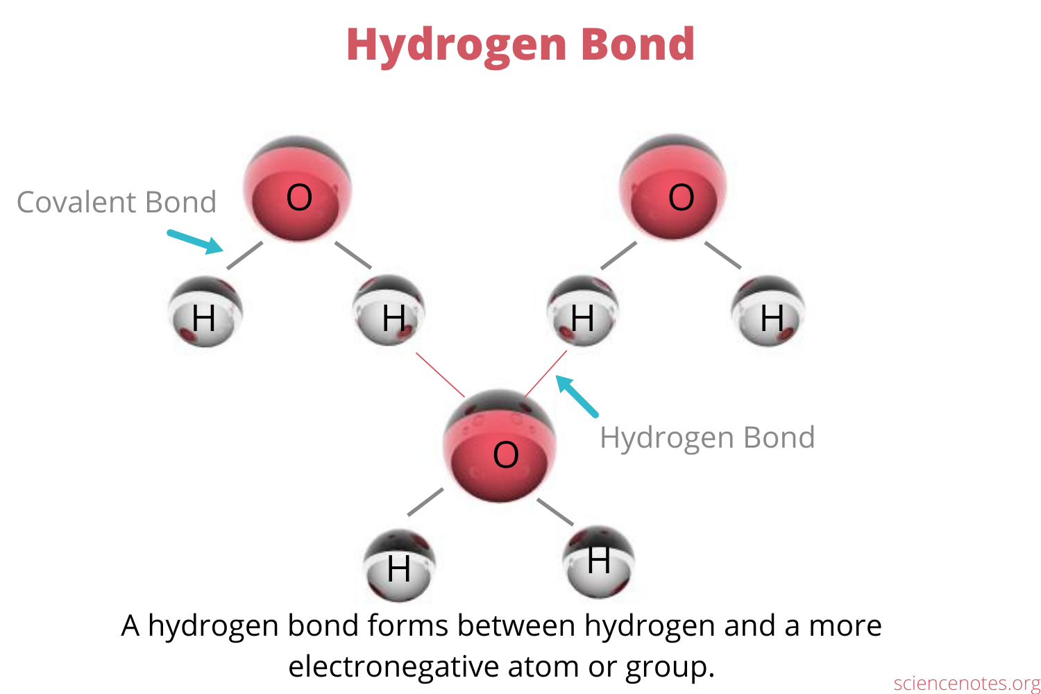 <p>Hydrogen bonds BE ABLE TO DRAW</p><p></p><p></p>