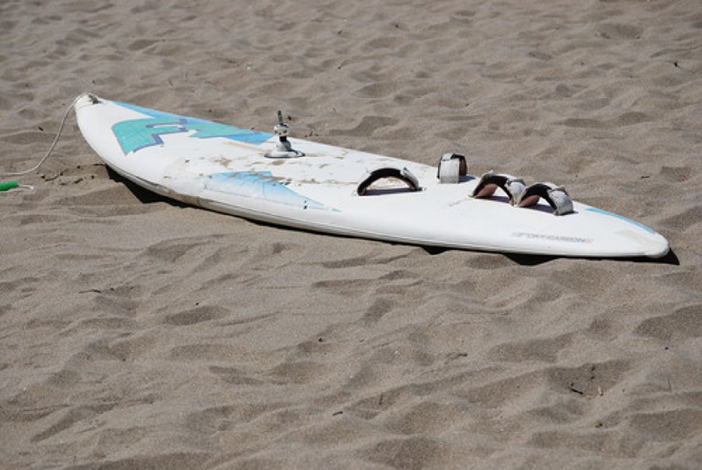 <p>the surfboard</p>