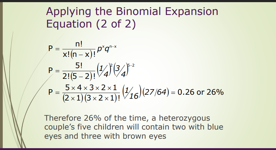 <ol><li><p>Calculate the individual probabilities</p></li></ol><ul><li><p>P(blue) = p = ¼</p></li><li><p>P(brown) = q = ¼ </p></li></ul><ol start="2"><li><p>Determine the # of events</p></li></ol><ul><li><p>n =  total # of children = 5</p></li><li><p>x = # of blue-eyed children = 2</p></li></ul><ol start="3"><li><p>Substitute the values for p, q, x, and n in the binomial expansion equation</p></li></ol><p></p>