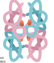 <p>Which structure of protein is this?</p>